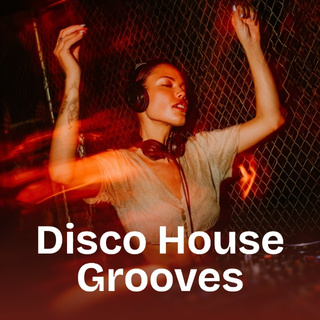 Disco House Grooves