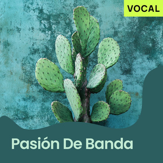 Pasión de Banda playlist cover